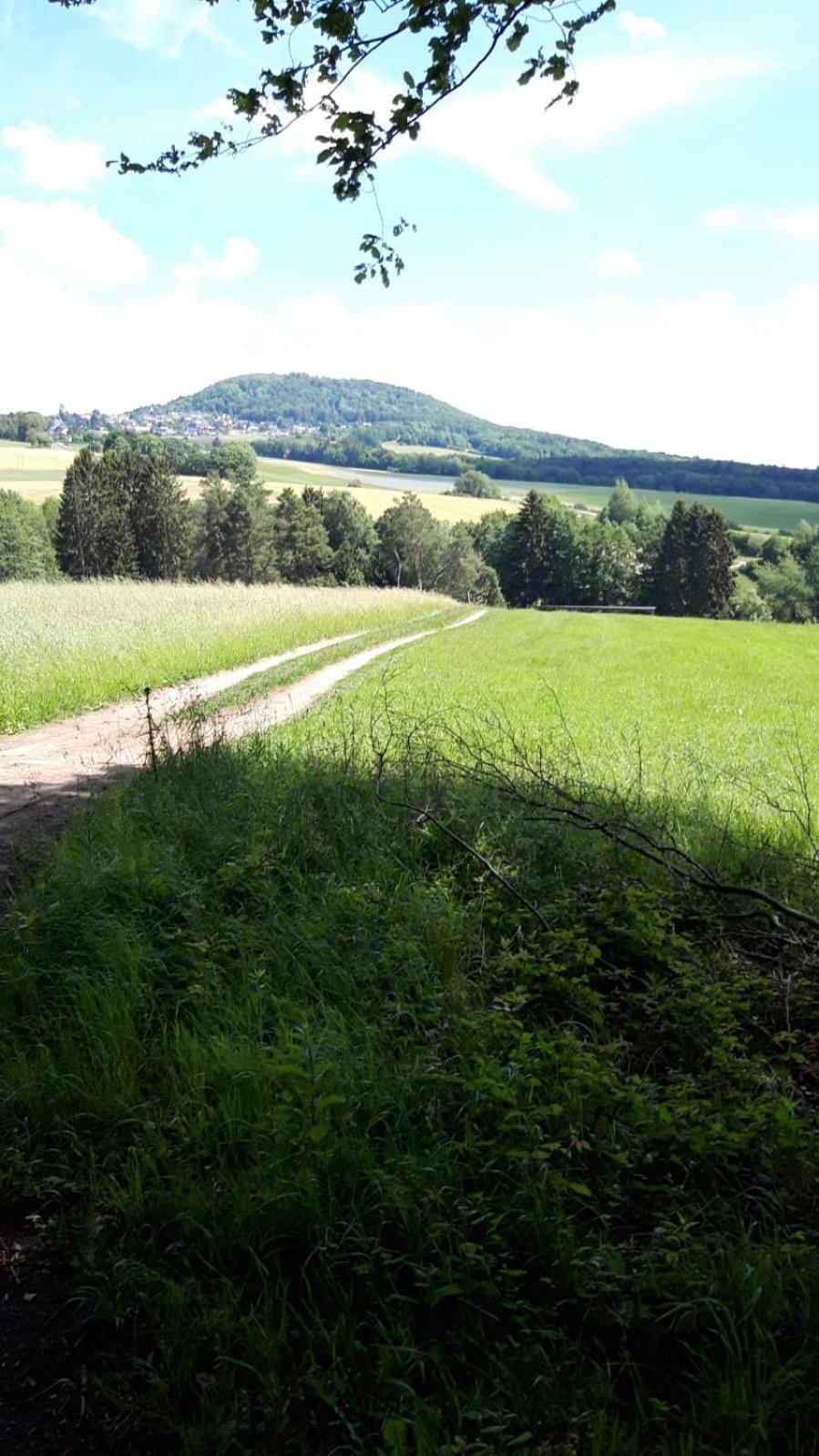 Gasthaus Zur Burgschaenke Aremberg Exterior foto